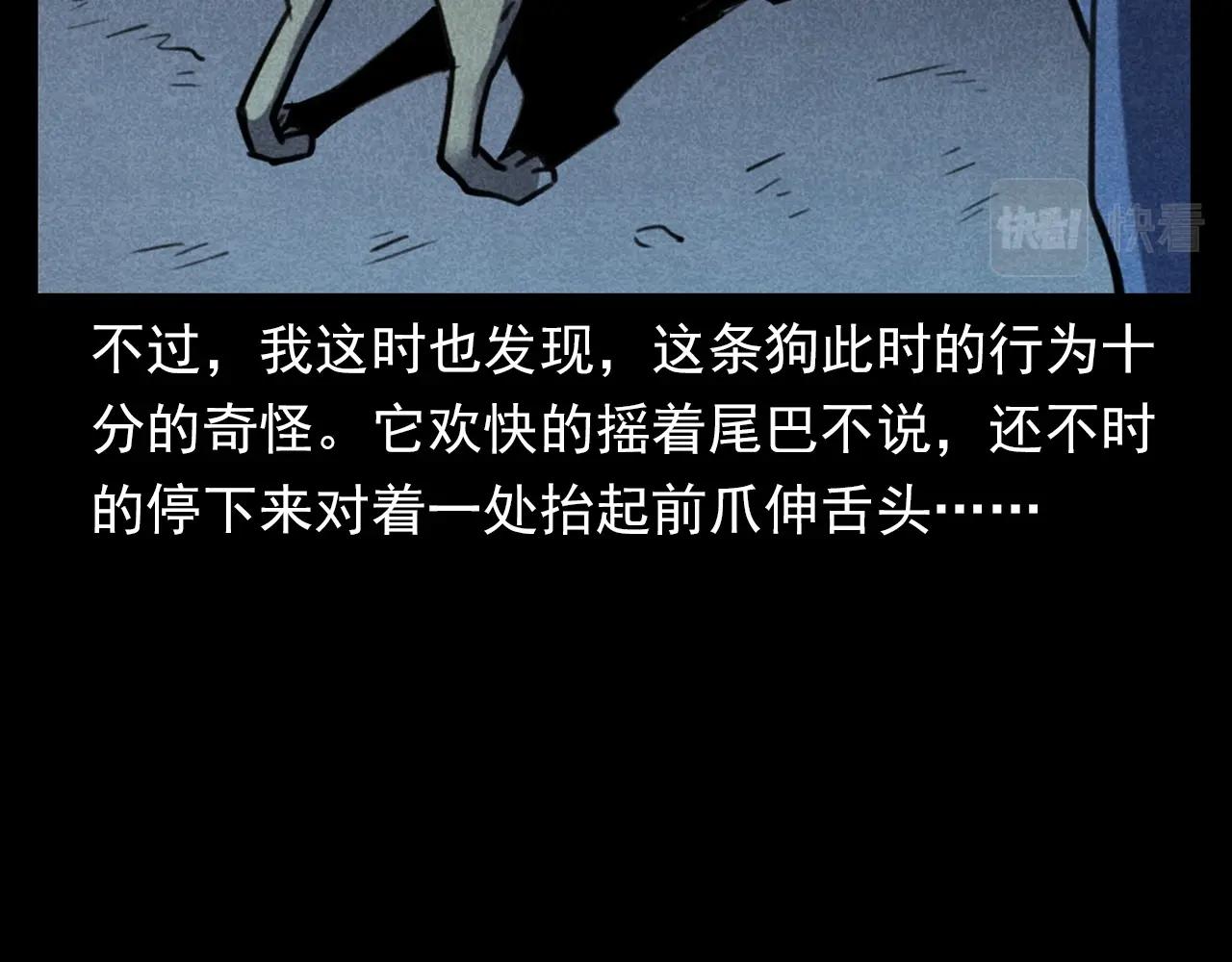 第352话 流浪狗63