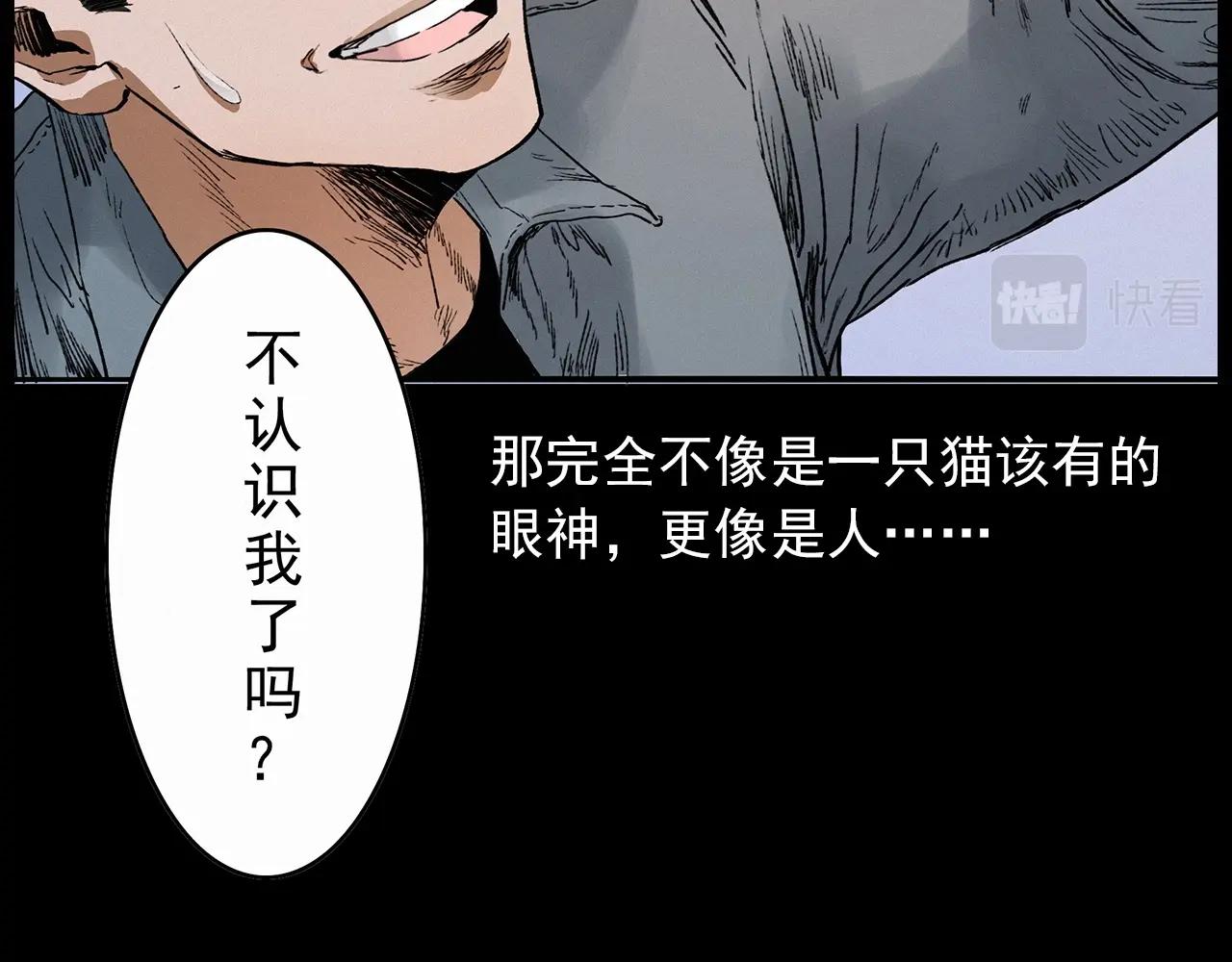 第412话 双瞳猫42