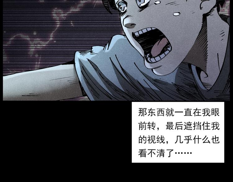 第287话 飞蚊症73
