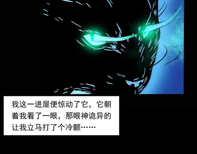 第159话  医院里的黑猫80