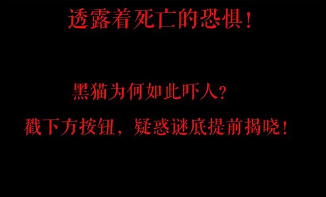 第157话  午夜场之车祸之后121