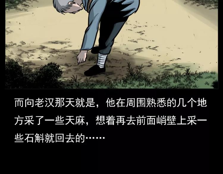 第13话 深山神犬14