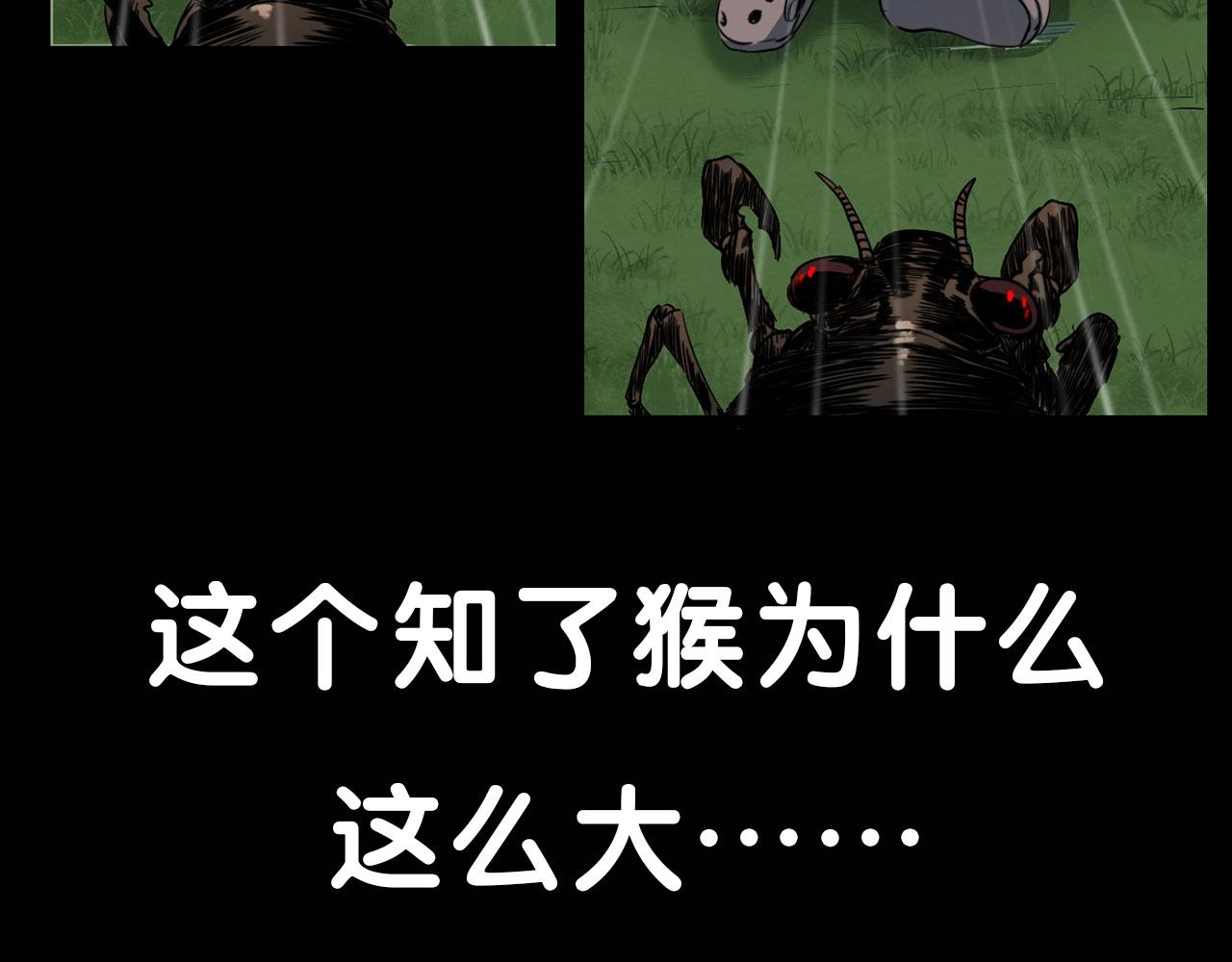 第210话 午夜场之囡囡123