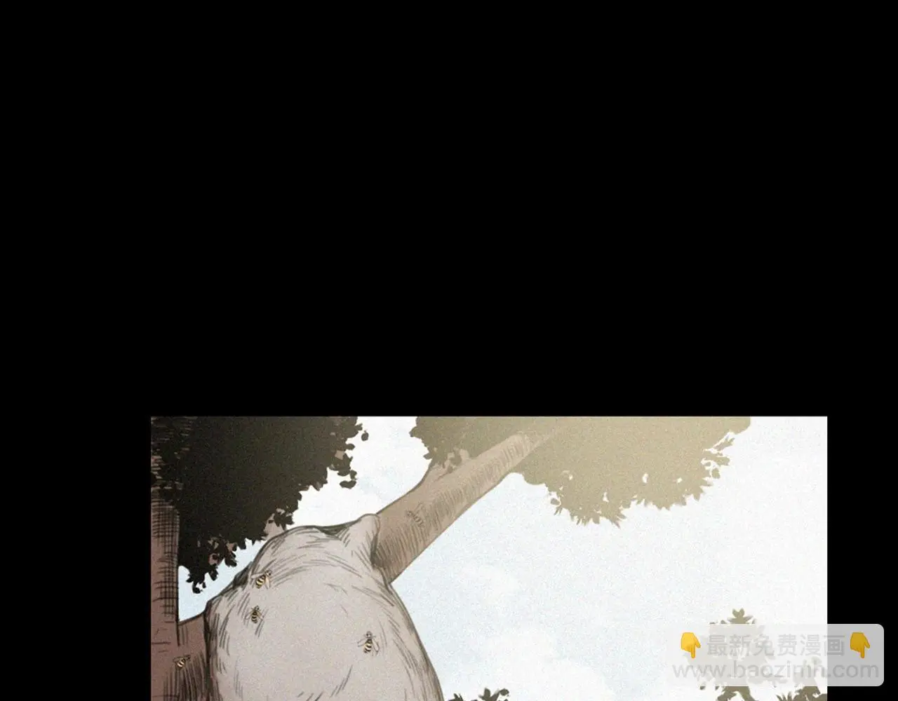 441话 蜂窝33
