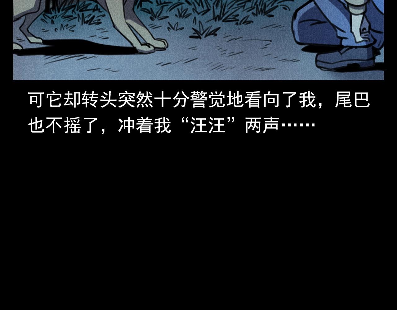 第352话 流浪狗69