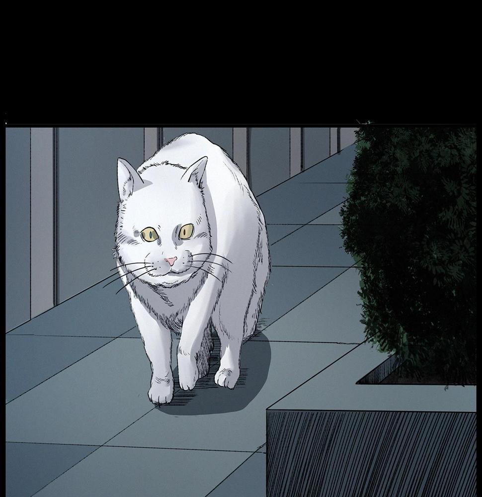 第412话 双瞳猫82