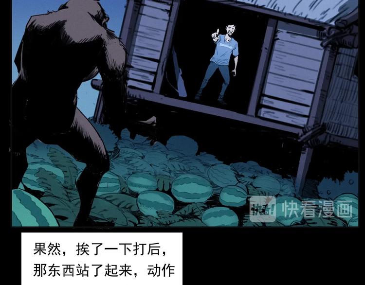 第279话 看瓜26