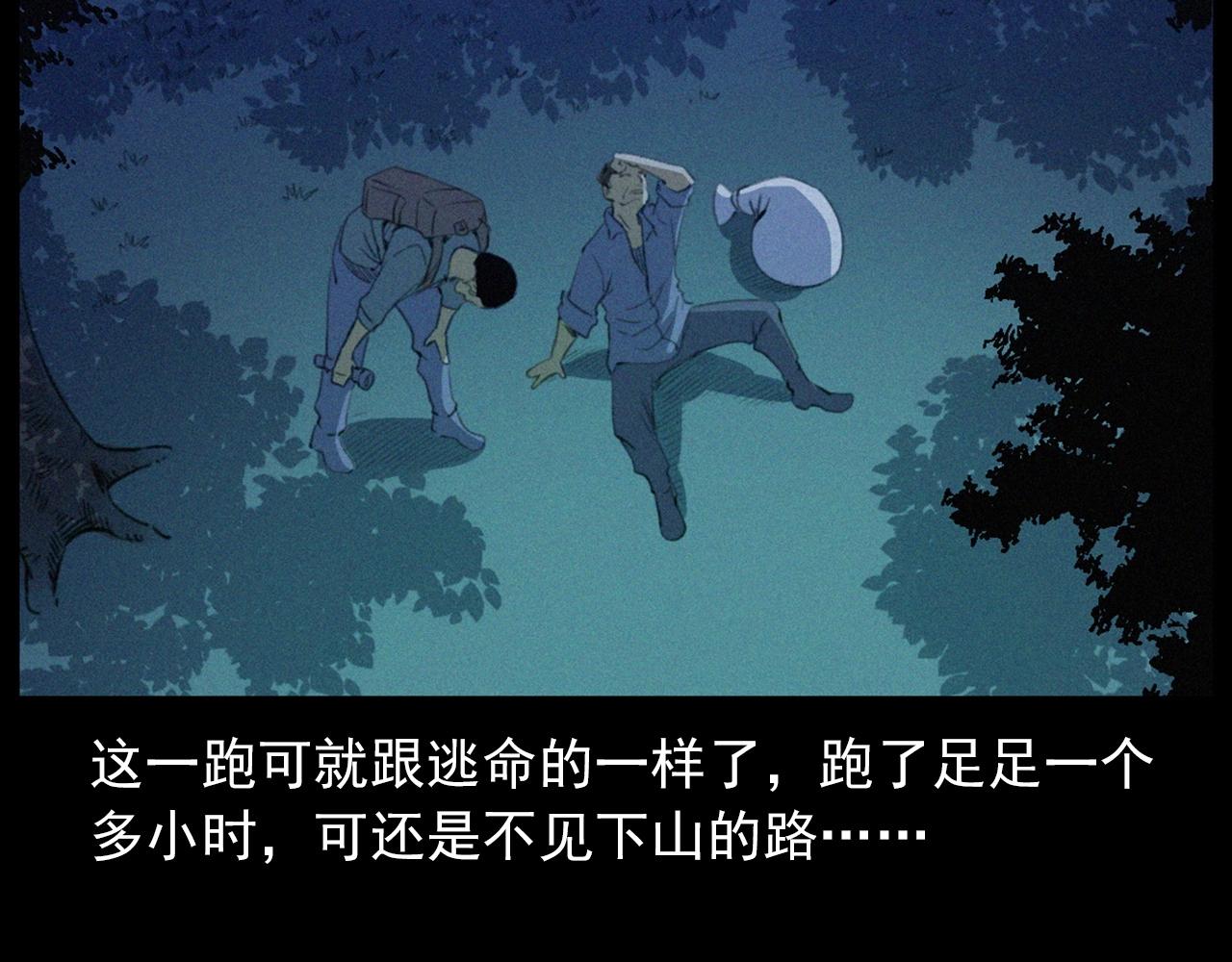 441话蜂窝69