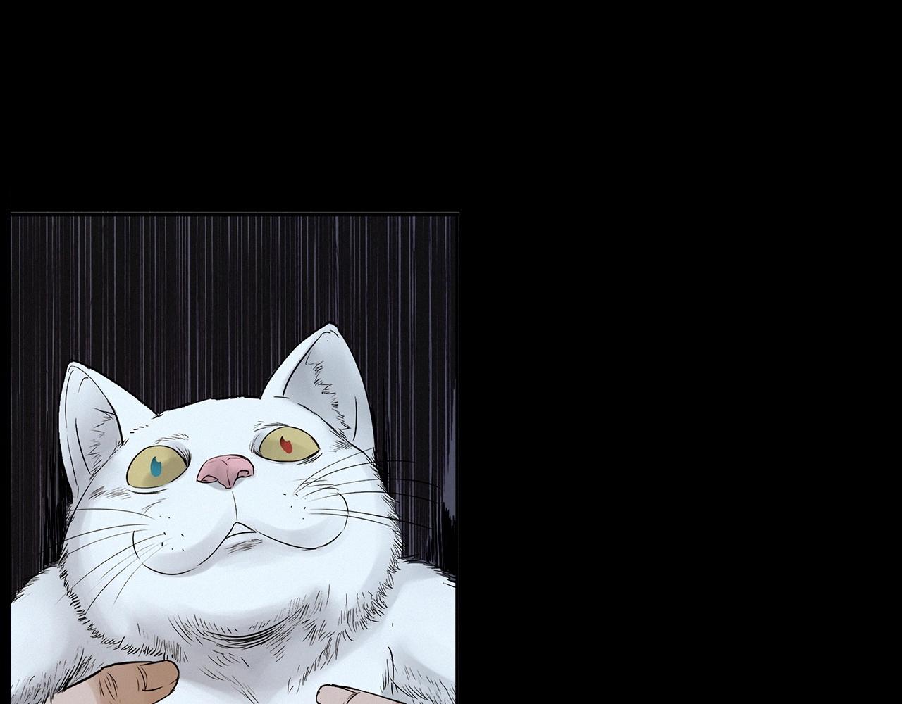 第412话 双瞳猫43