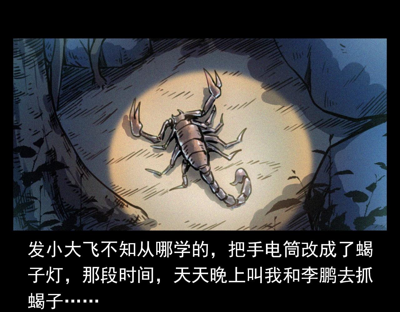 第370话  蝎子灯7