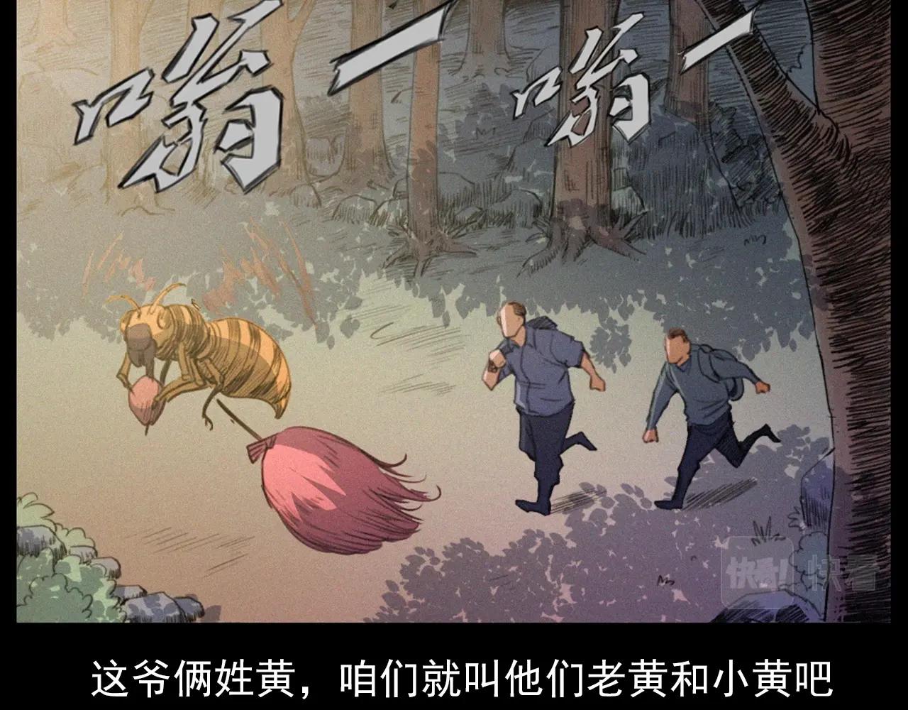 441话蜂窝24