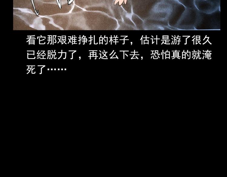 第307话 鼠恩90