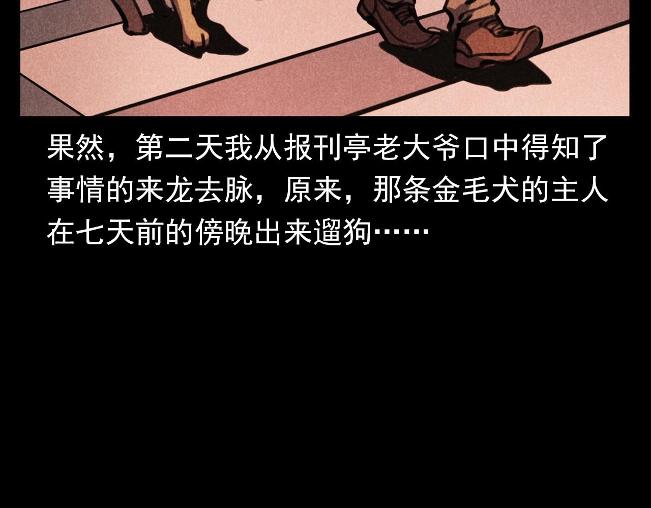 第352话 流浪狗84