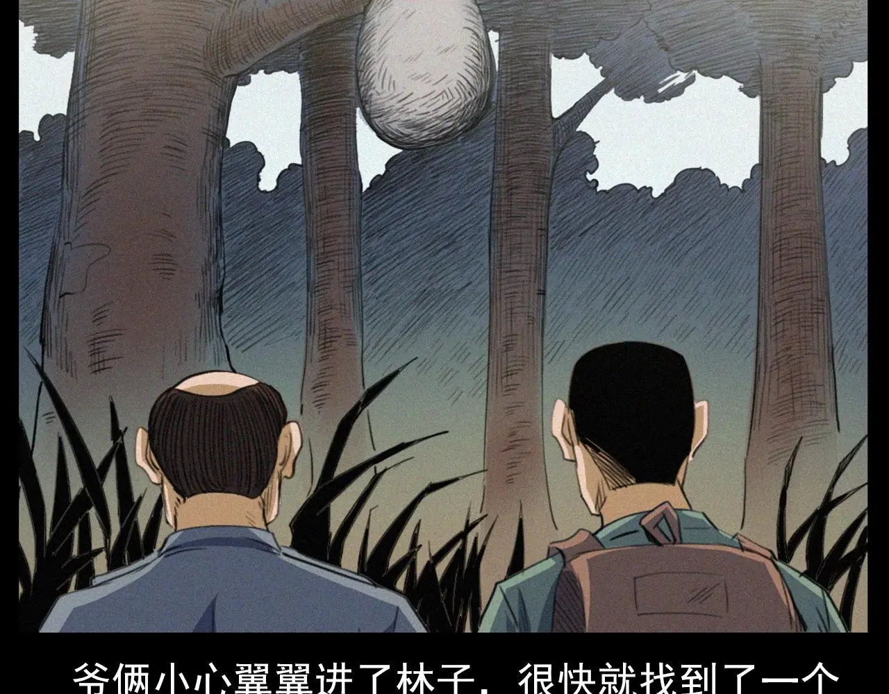 441话 蜂窝30