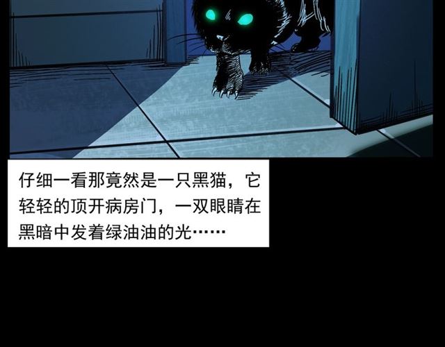 第159话  医院里的黑猫53