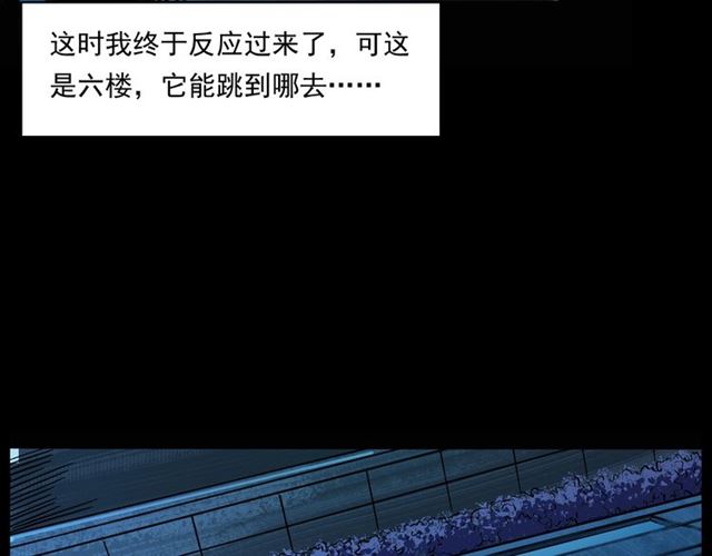 第159话  医院里的黑猫100