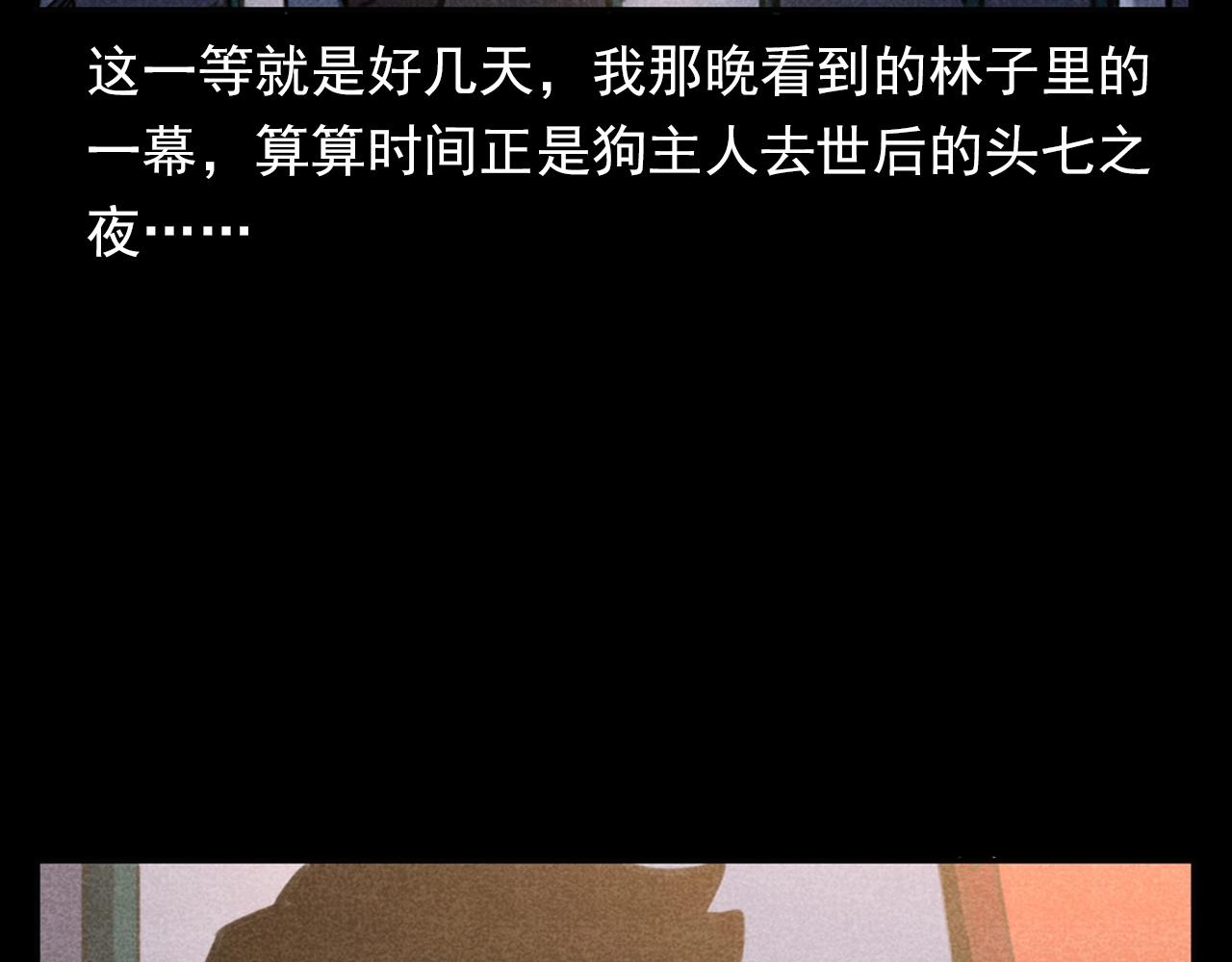 第352话 流浪狗90
