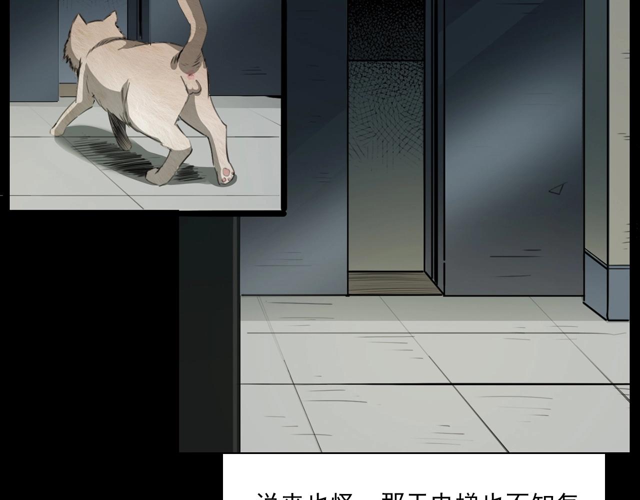第212话 午夜场之停车场诡影27