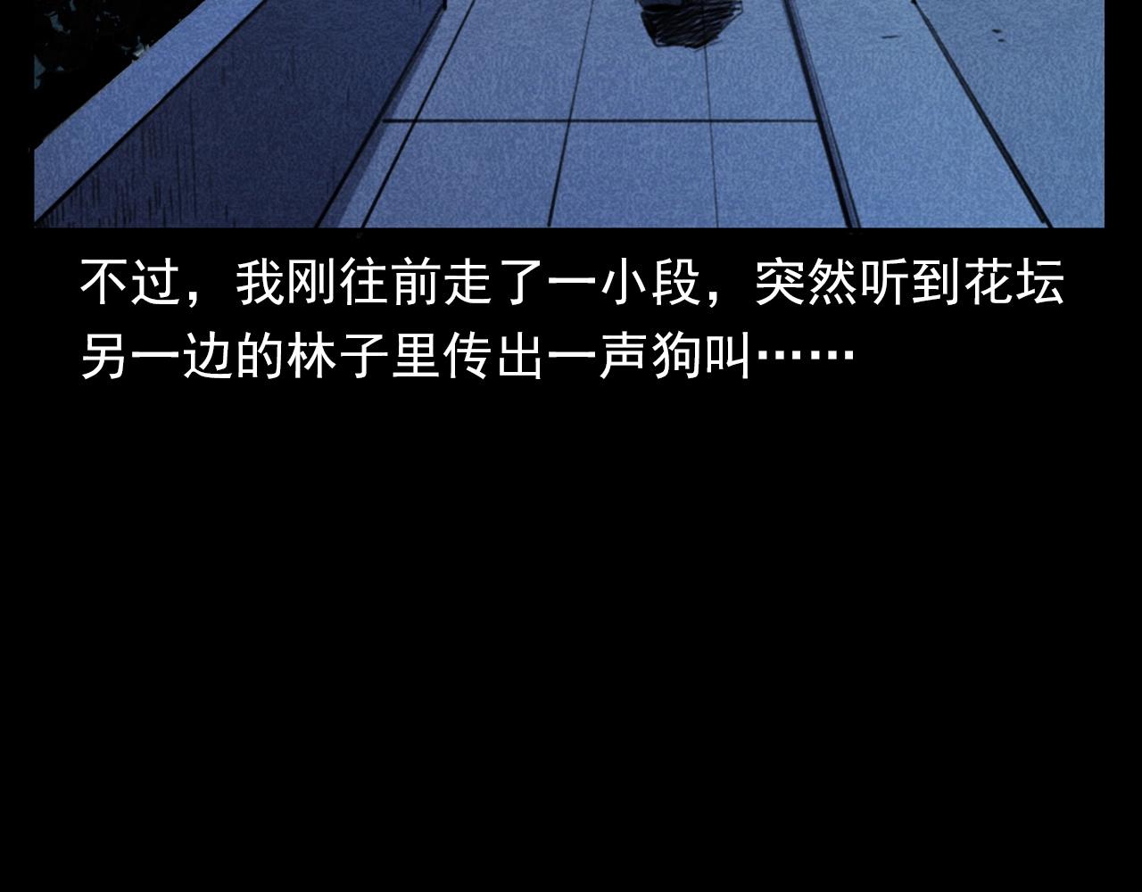 第352话 流浪狗56