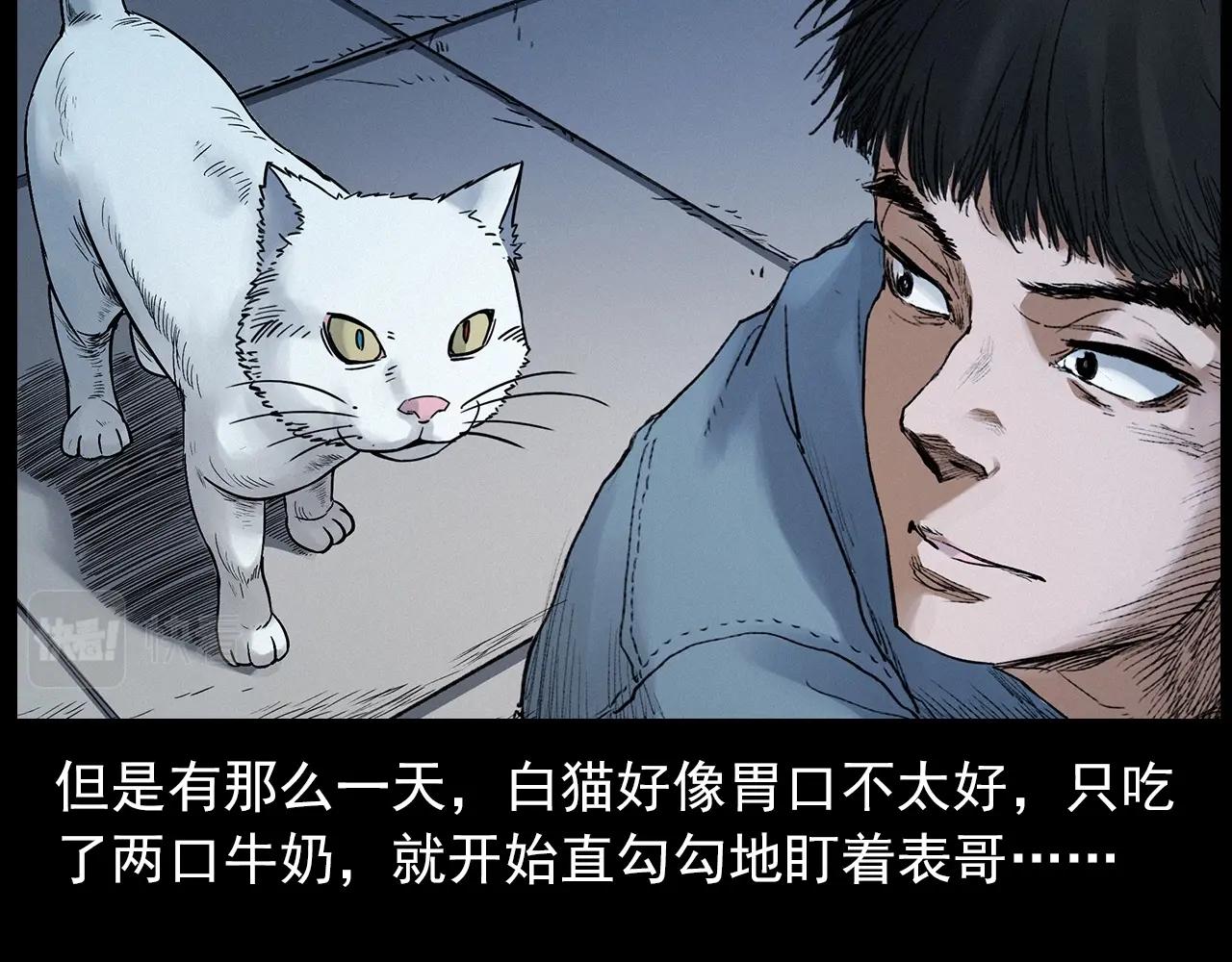 第412话 双瞳猫32