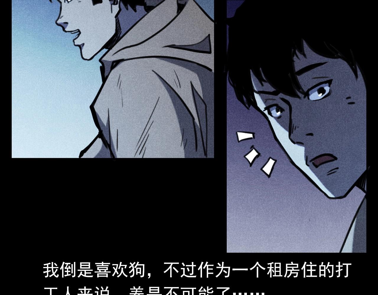 第352话 流浪狗10