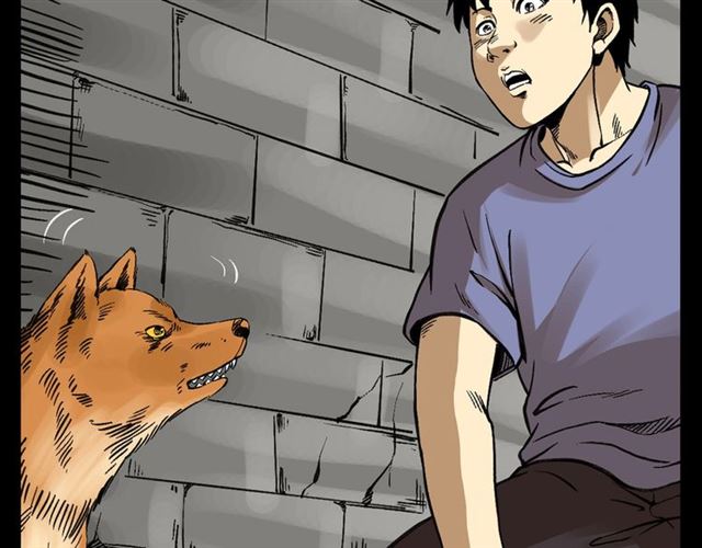 第125话 黄狗！87