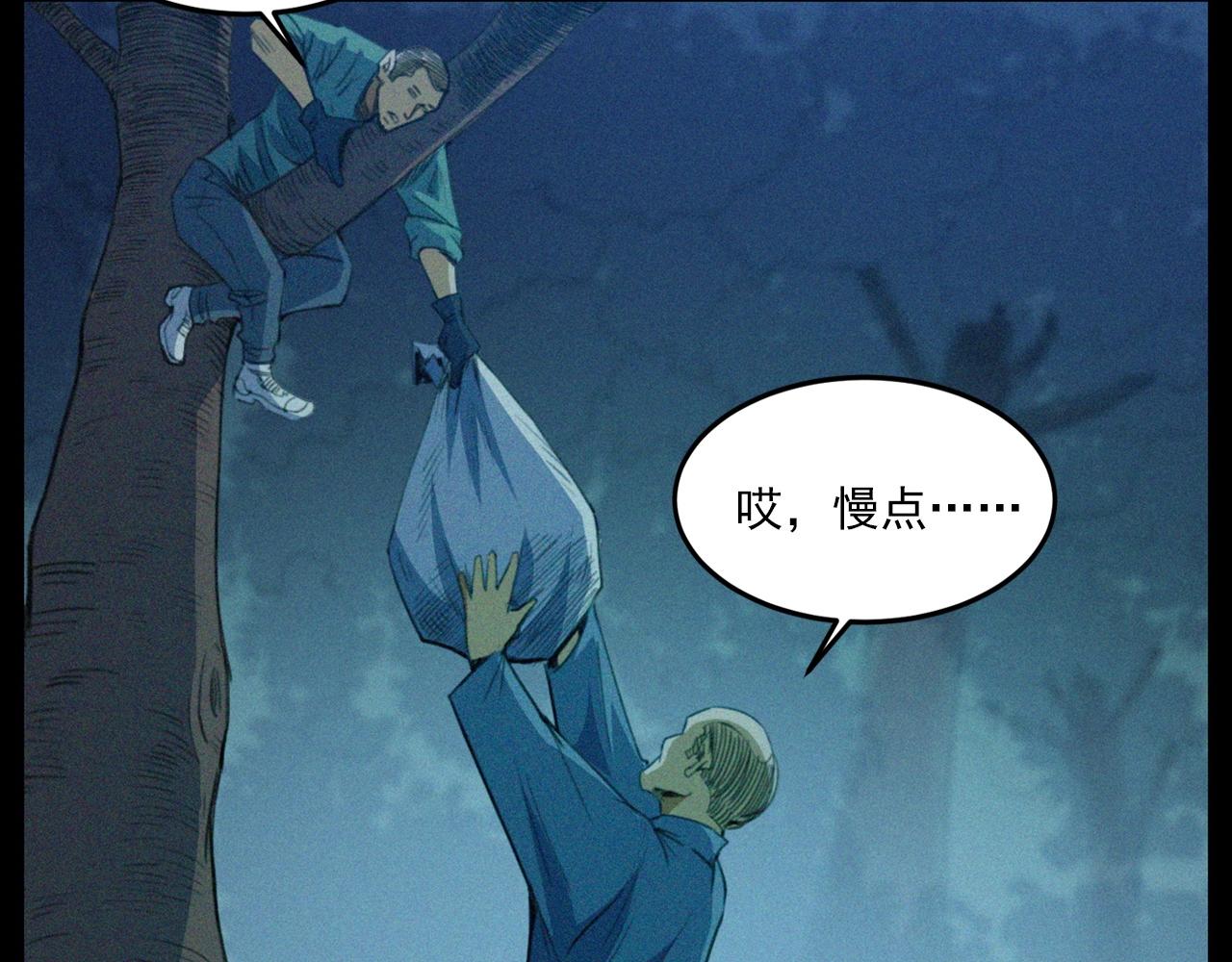 441话蜂窝46