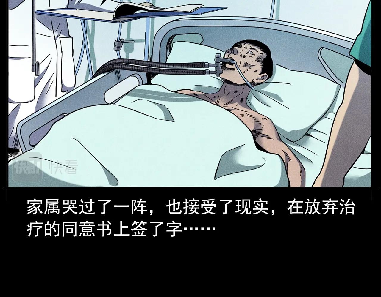 第420话 橘子皮11