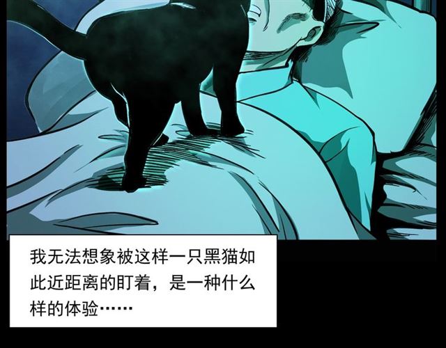 第159话  医院里的黑猫82