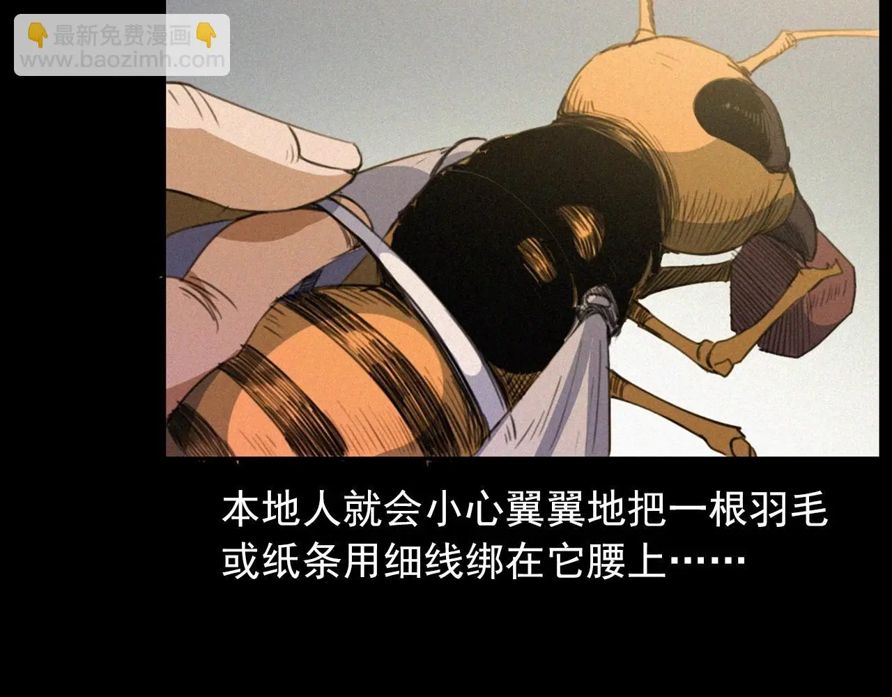 441话 蜂窝14