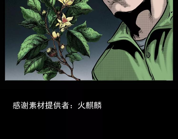 第6话 迷魂草2