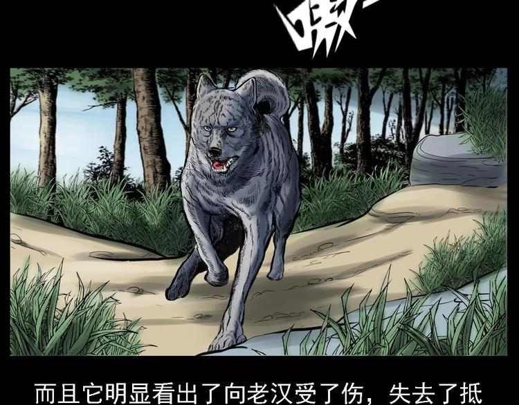 第13话 深山神犬36