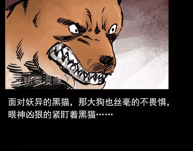 第116话 三脚猫！99