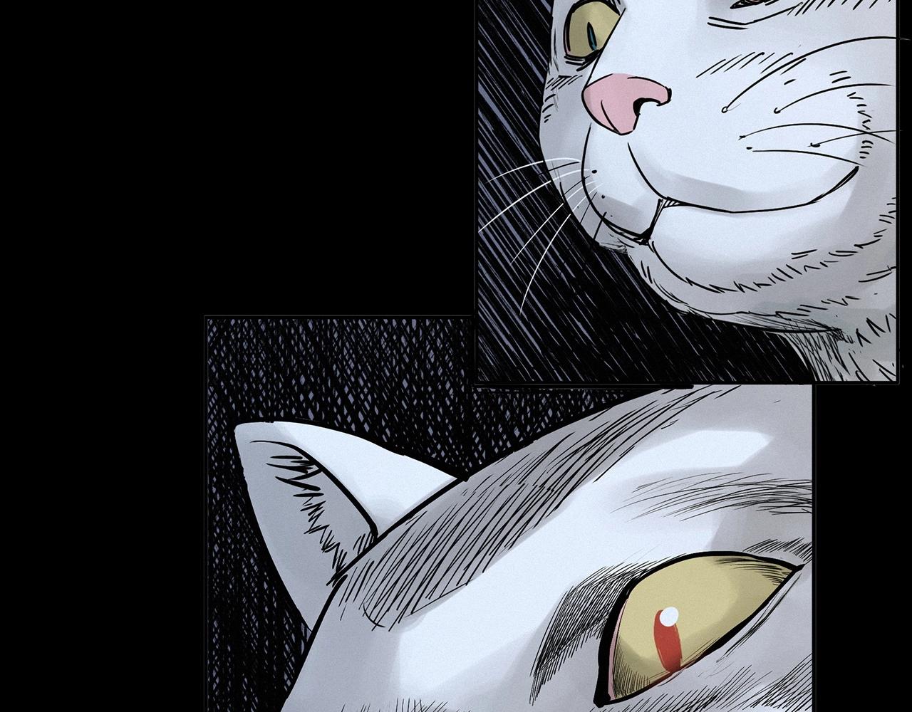 第412话 双瞳猫38