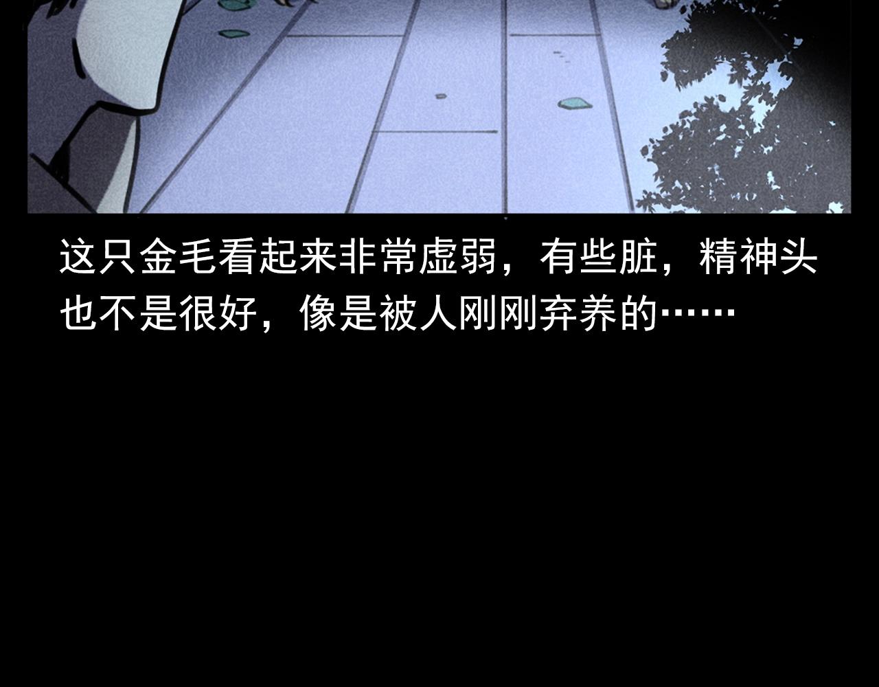 第352话 流浪狗14