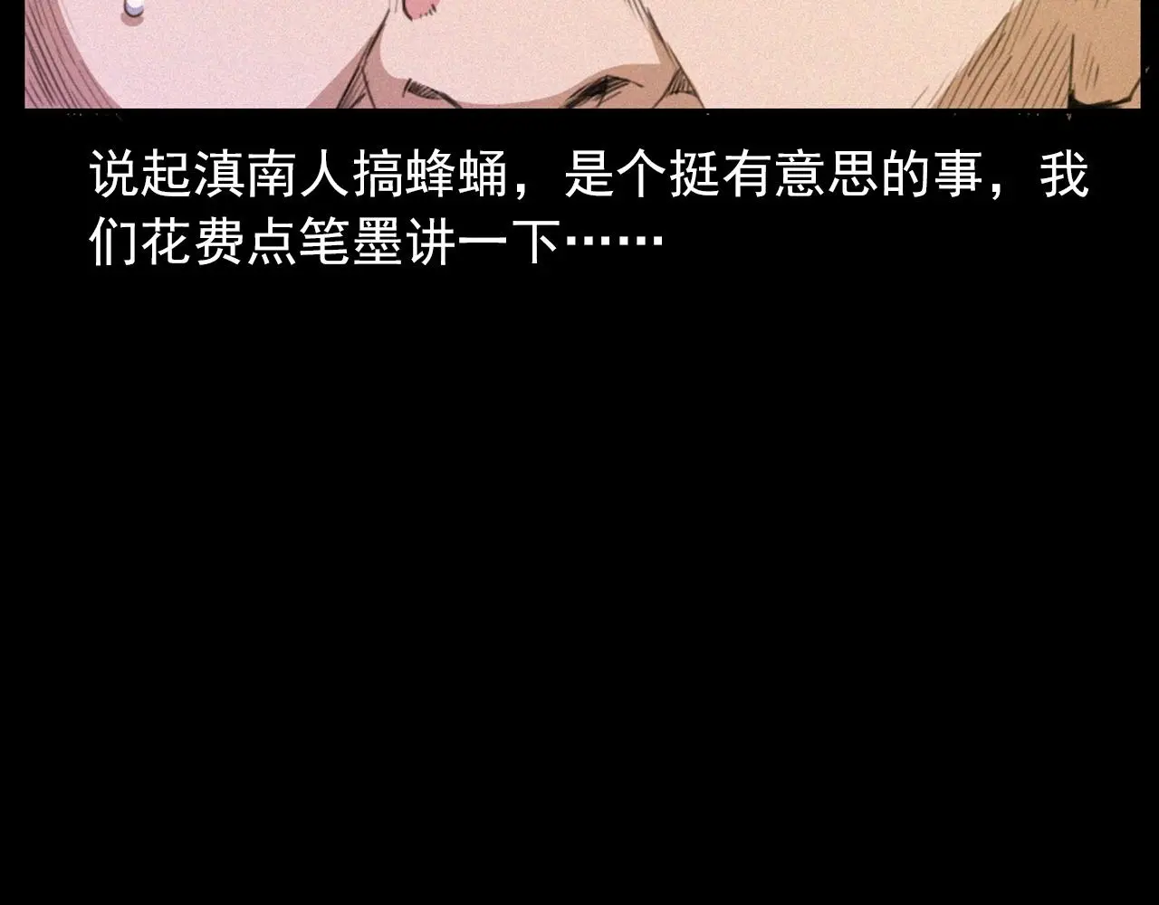 441话 蜂窝9