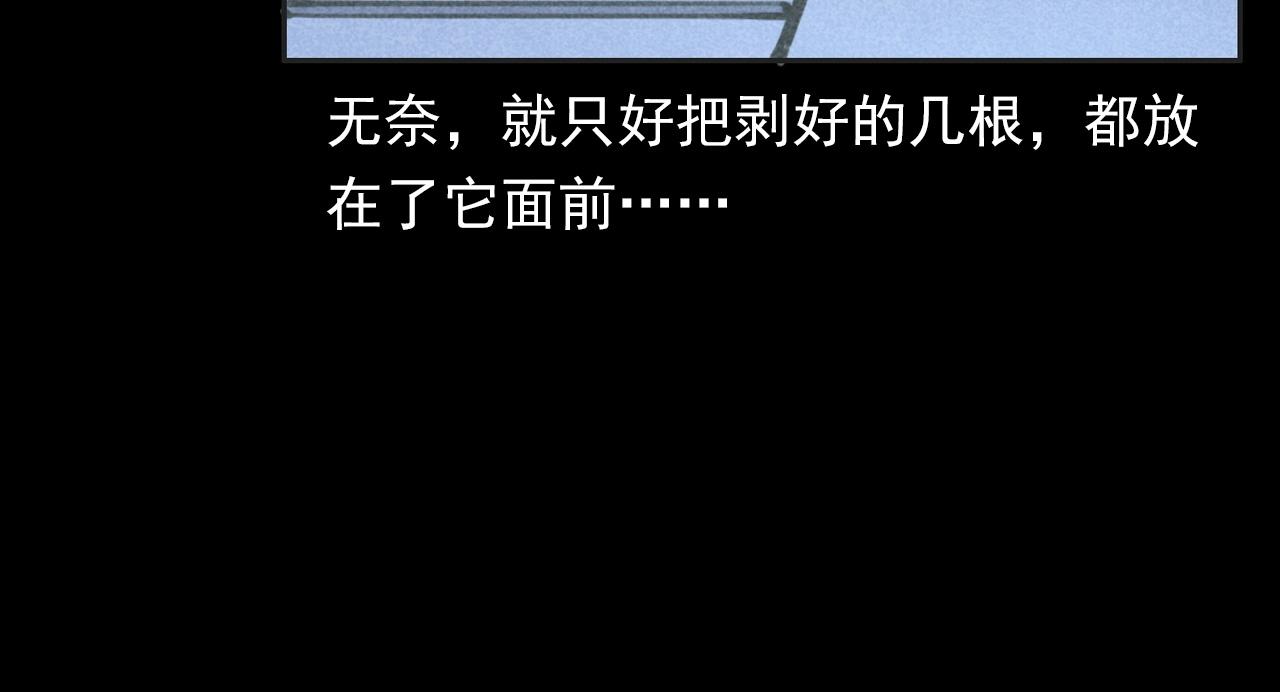 第352话 流浪狗35