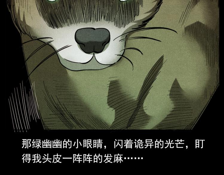 第297话 露天电影35