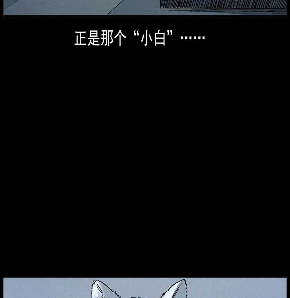 第412话 双瞳猫83