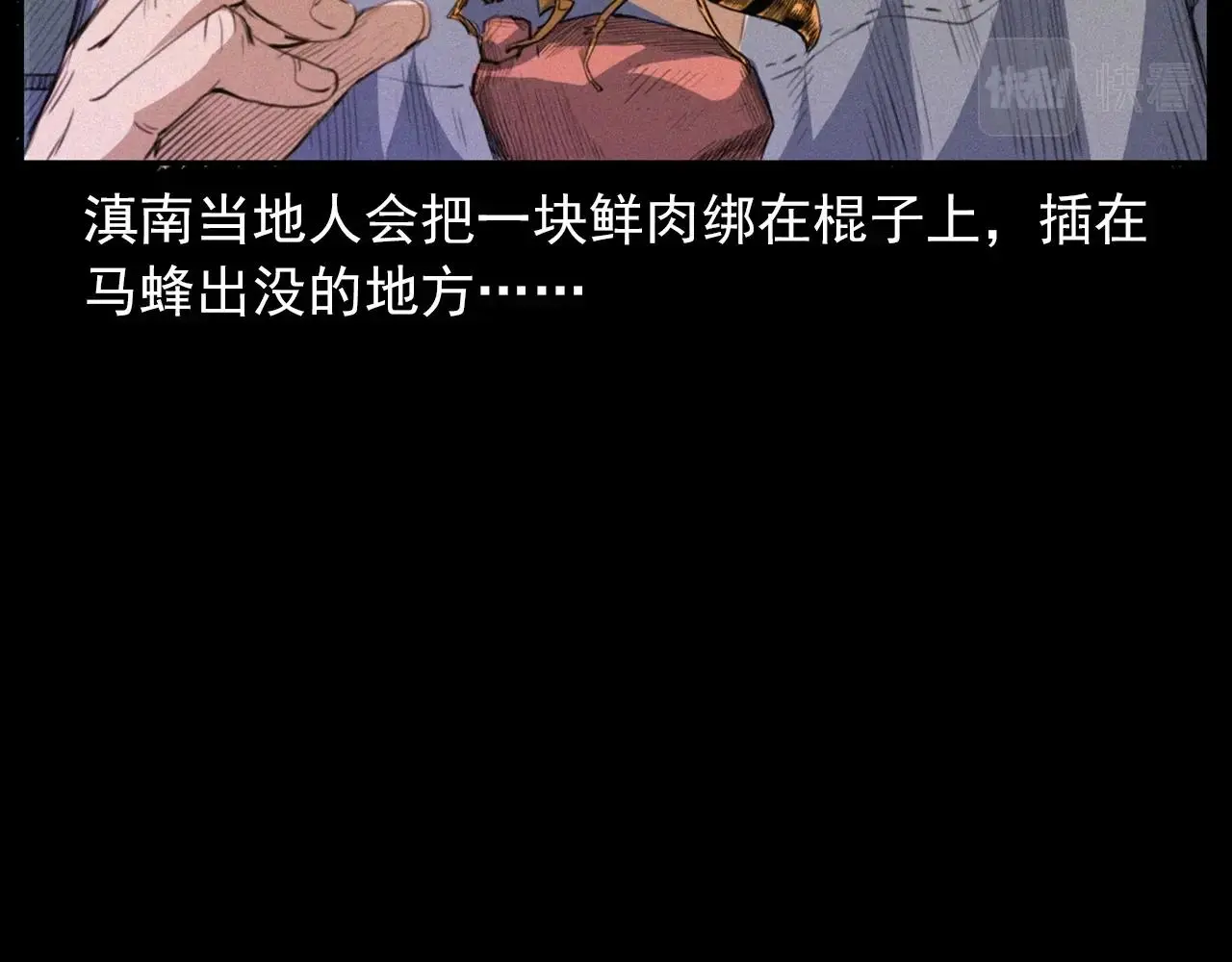 441话 蜂窝11