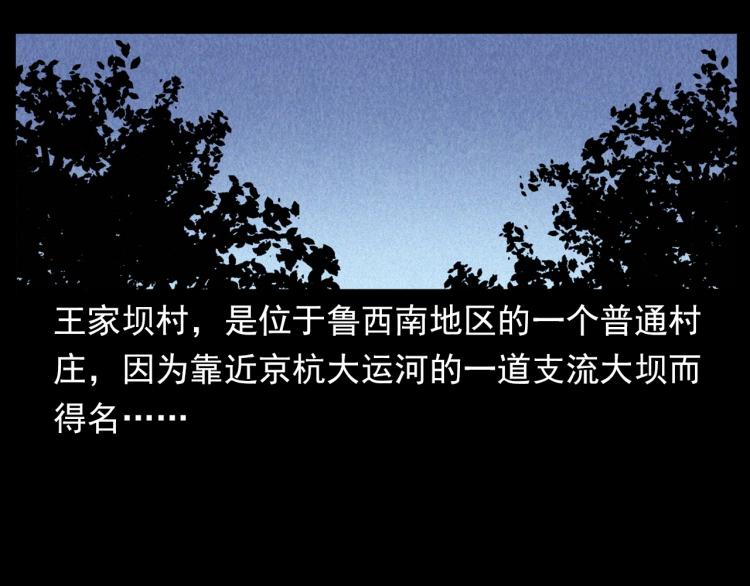 第299话 王家坝诡事5