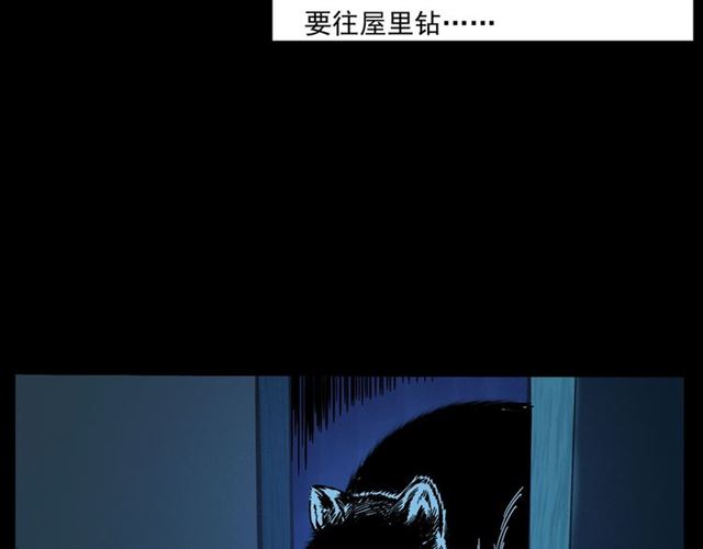 第159话  医院里的黑猫52