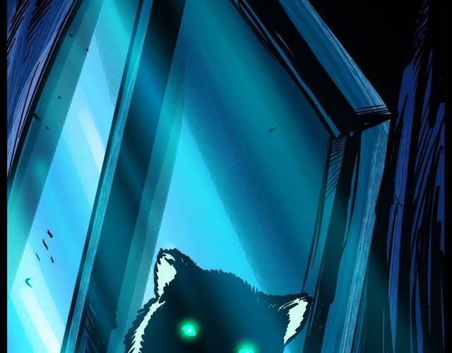 第159话  医院里的黑猫2