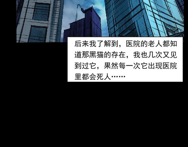 第159话  医院里的黑猫42