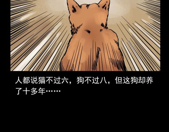 第116话 三脚猫！8
