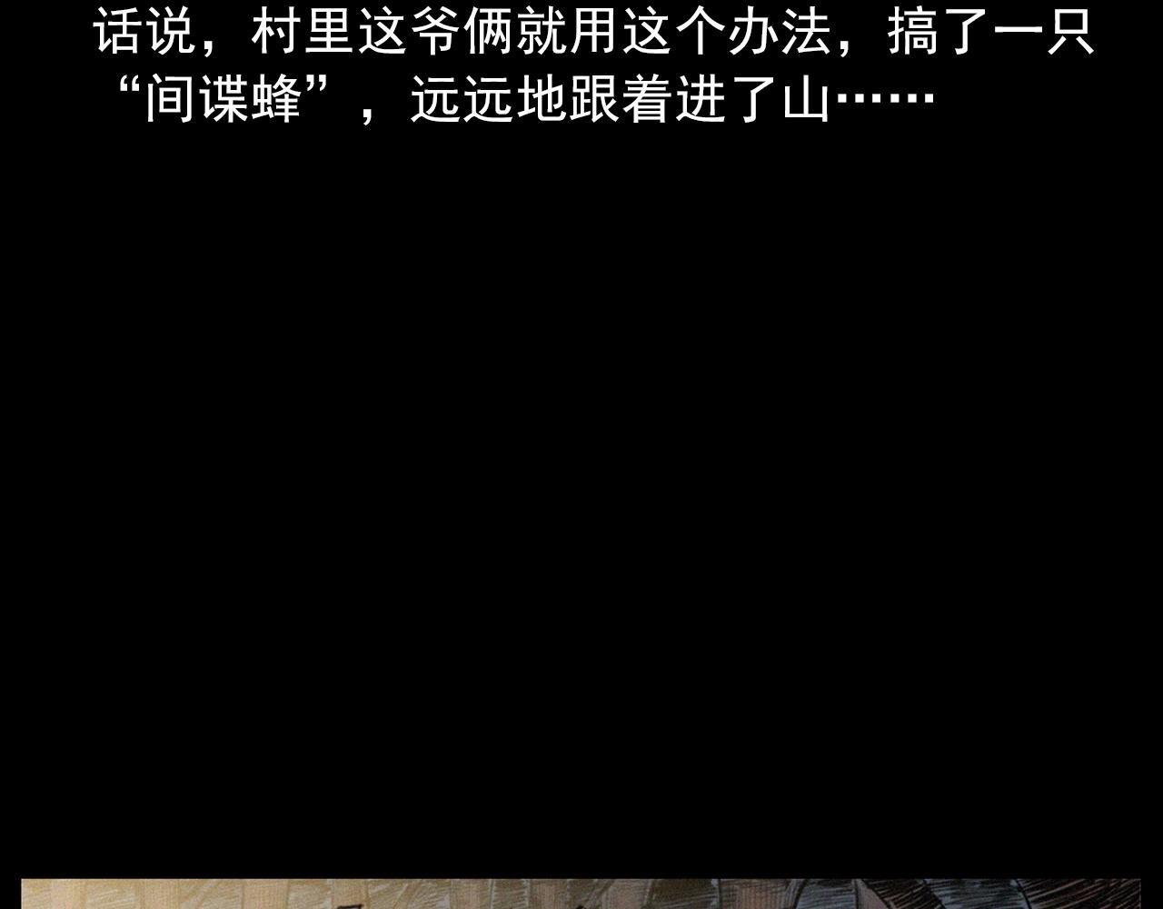 441话蜂窝23