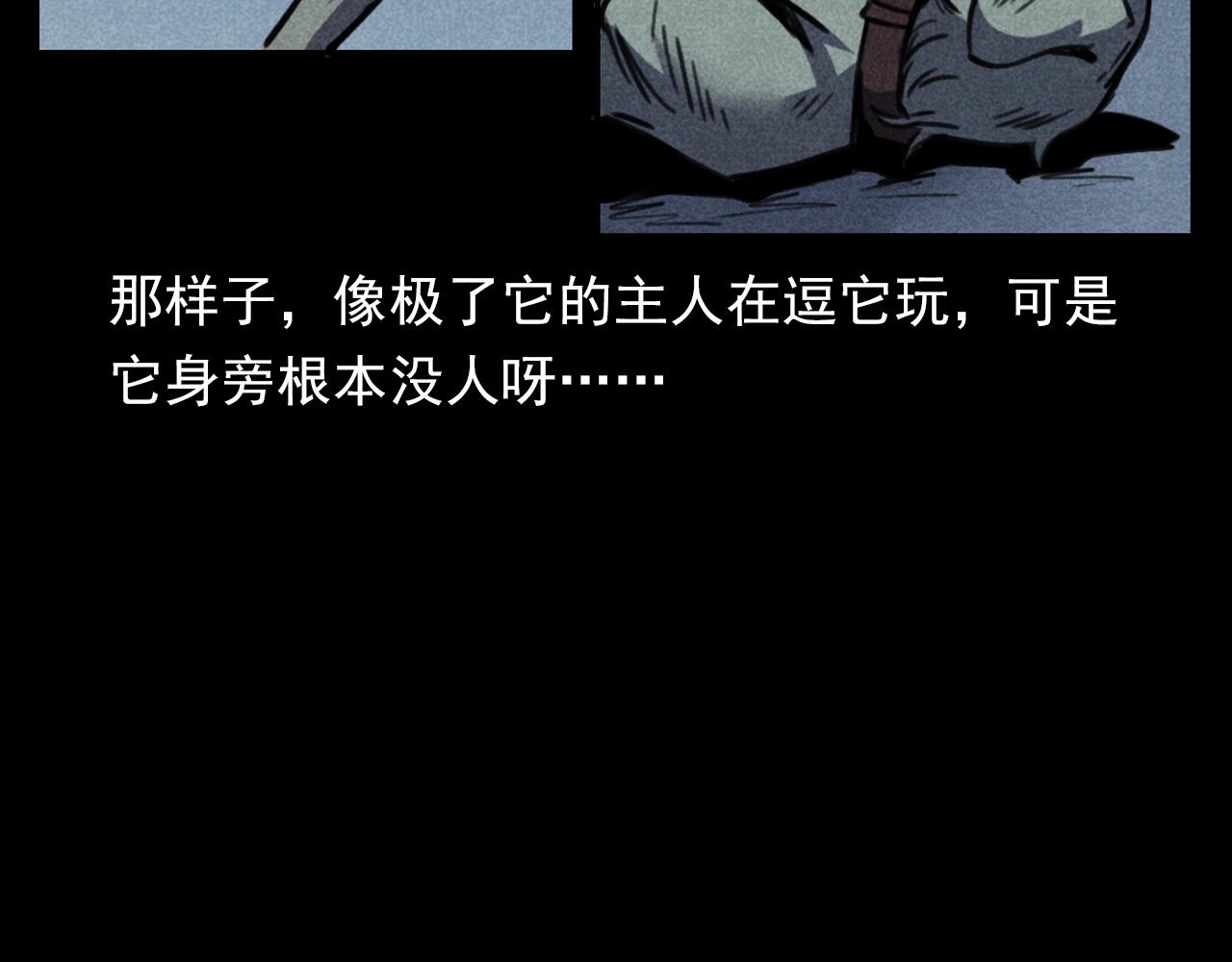 第352话 流浪狗65