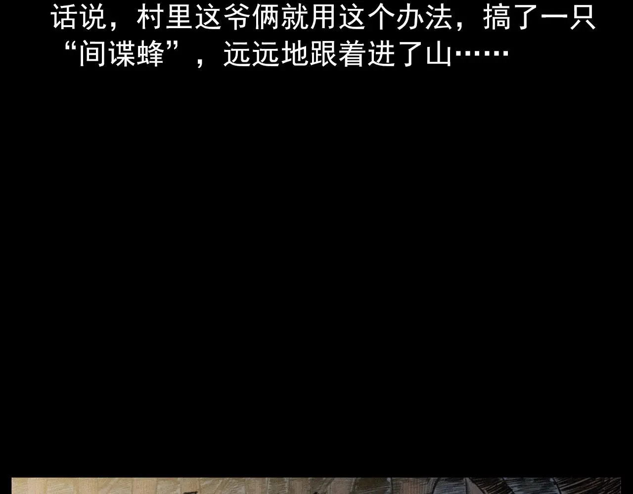 441话 蜂窝23