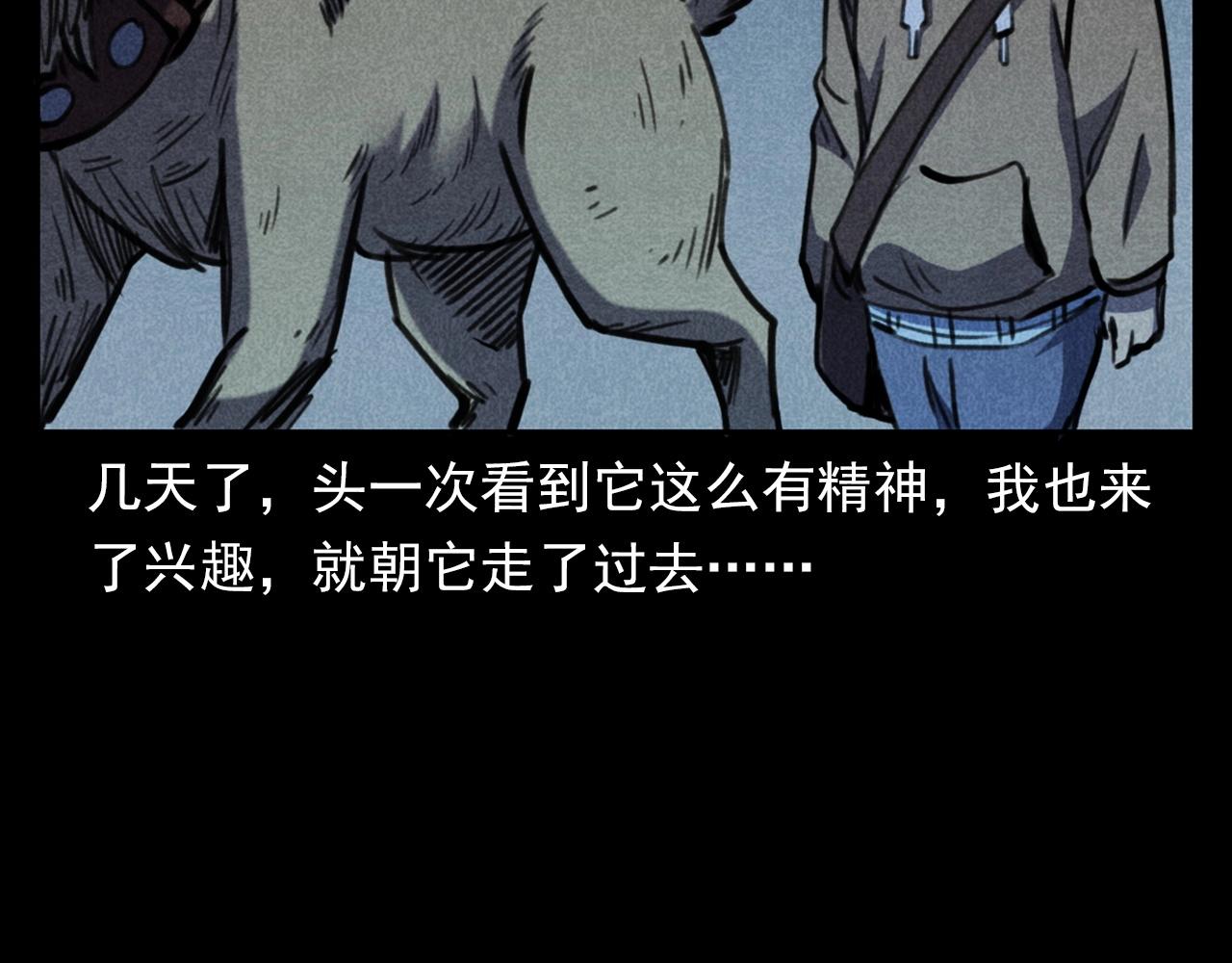 第352话 流浪狗61