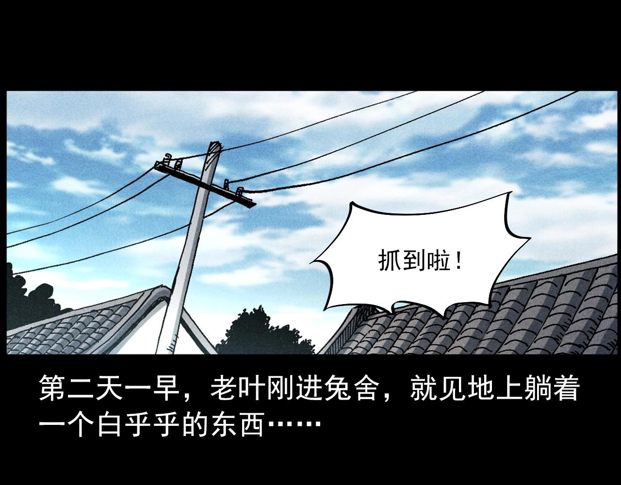 第421话 白狐39